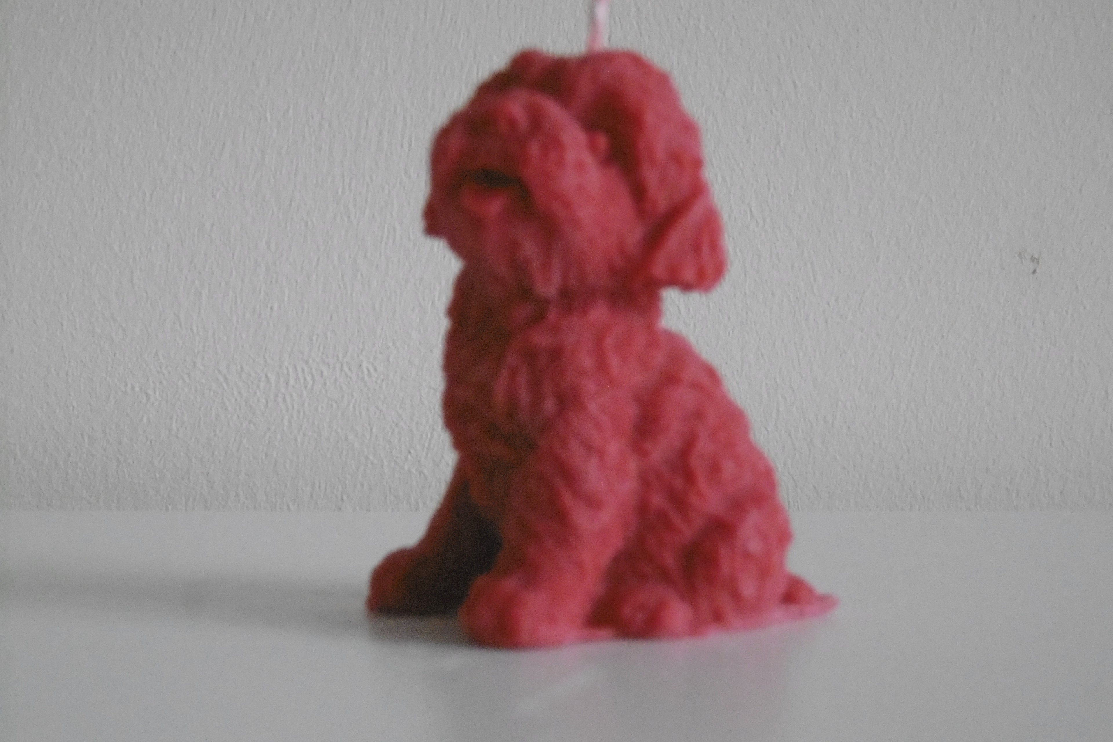 DOG CANDLES